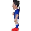 MINIX Wc Legends Italy - Roberto Baggio - (24988)