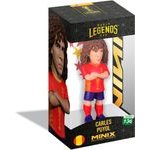 MINIX Wc Legends Spain - Carles Puyol - (25053)