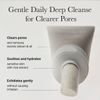 Arencia Rice + Lha Pore Control Rice Cake Cleanser - (ARE-31)