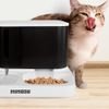 Jocca Automatic Food And Water Dispenser - (J-2788)