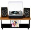 Mgas Miniverse: Real Music - Record Player - Plays Real Music (254249)