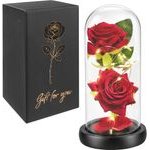 Glimz Rose in glass - luminous 22cm - (19501-0)