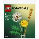 Lego Botanicals: Field Flowers (30701)