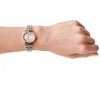 Emporio Armani WOMENS Watch - Classic (zi516a) - (AR11223)
