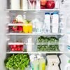 rotho Loft Fridge Organizer 1.6 L