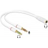 DELOCK ���������� ��� 3.5MM 4-PIN JACK �� 2X 3.5M 3-PIN JACK