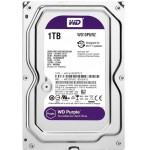 WESTERN DIGITAL PURPLE 1TB - (WD10PURZ)