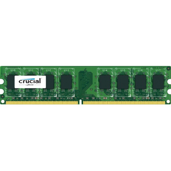 ����� CRUCIAL 2GB DDR3 1600 MHZ - (CT25664BD160B)
