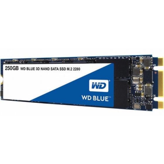 SSD WD 250GB BLUE M.2 2280 - (WDS250G2B0B)