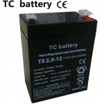 TC �������� �������� 2,9A-12V