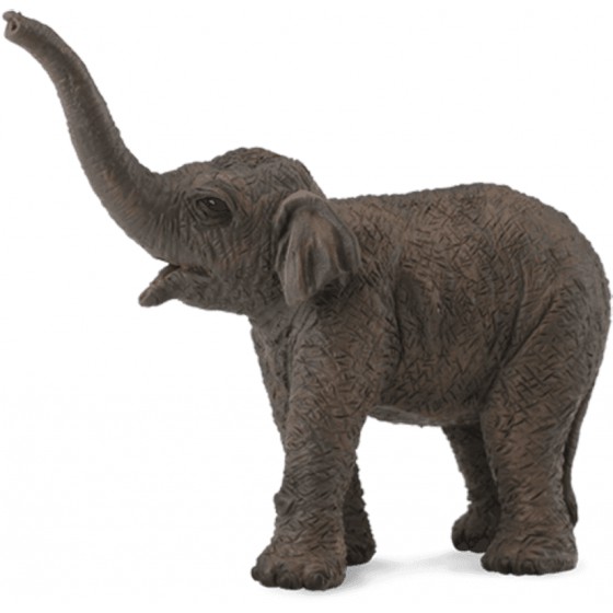 COLLECTA �������� ���������� - (88487)