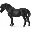 COLLECTA ���� ��������� ����� LARGE - (88603)