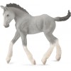 COLLECTA ������� ���� ���� MEDIUM - (88575)