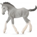 COLLECTA ������� ���� ���� MEDIUM - (88575)