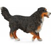 COLLECTA ������� ������ ������ LARGE - (88801)