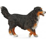 COLLECTA ������� ������ ������ LARGE - (88801)