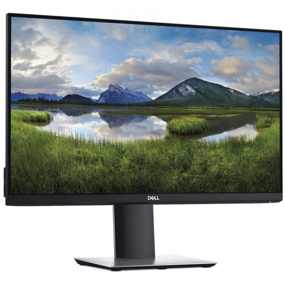 DELL P2419H
