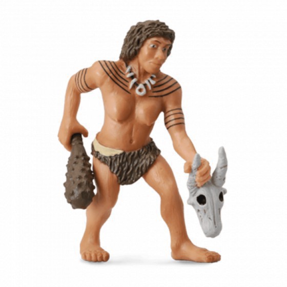 COLLECTA ������� ���������� LARGE - (88527)