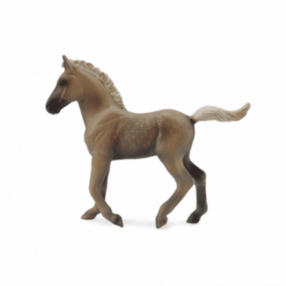 COLLECTA ������� ��� �������� ����� MEDIUM - (88799)