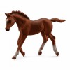 COLLECTA ���������� ������� �������������� ��� ��������� MEDIUM - (88670)