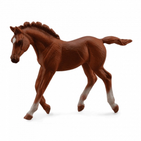 COLLECTA ���������� ������� �������������� ��� ��������� MEDIUM - (88670)
