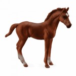 COLLECTA ���������� ������� �������������� ��� �������� MEDIUM - (88671)