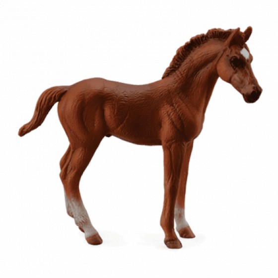 COLLECTA ���������� ������� �������������� ��� �������� MEDIUM - (88671)
