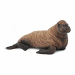COLLECTA ��������� ����� ���� MEDIUM - (88570)