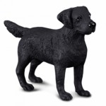 COLLECTA ���������� MEDIUM - (88076)