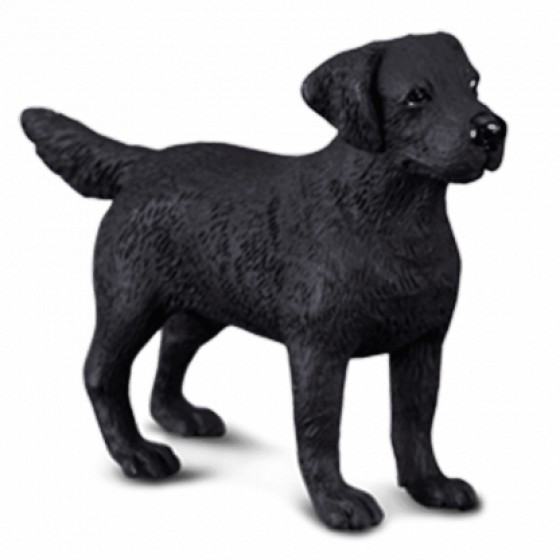 COLLECTA ���������� MEDIUM - (88076)