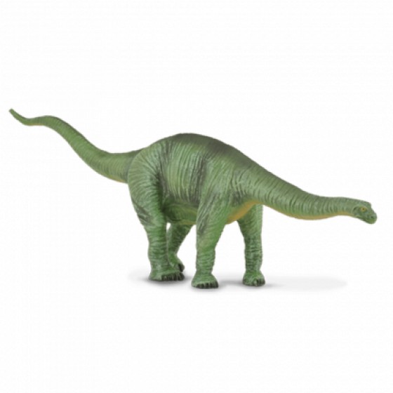 COLLECTA ����������� LARGE - (88253)