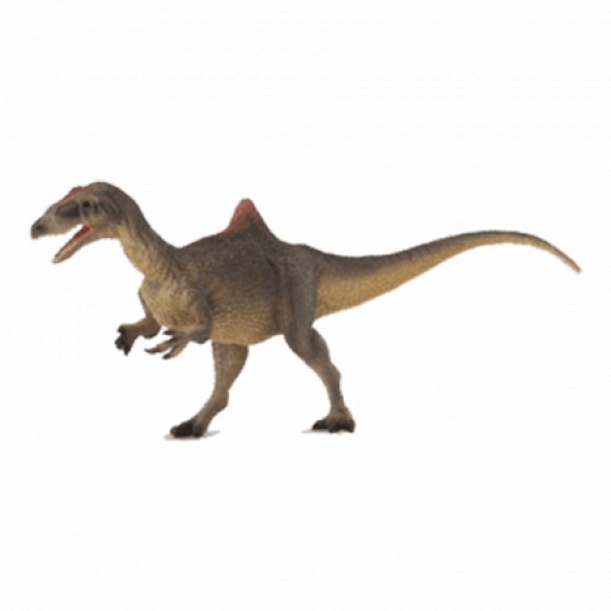COLLECTA �������������� LARGE - (88515)