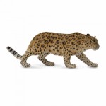 COLLECTA ���������� ��� ����� XLARGE - (88708)
