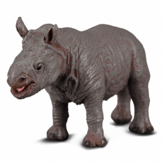 COLLECTA ����� ���������� SMALL - (88089)