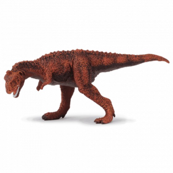 COLLECTA ��������������� LARGE - (88402)