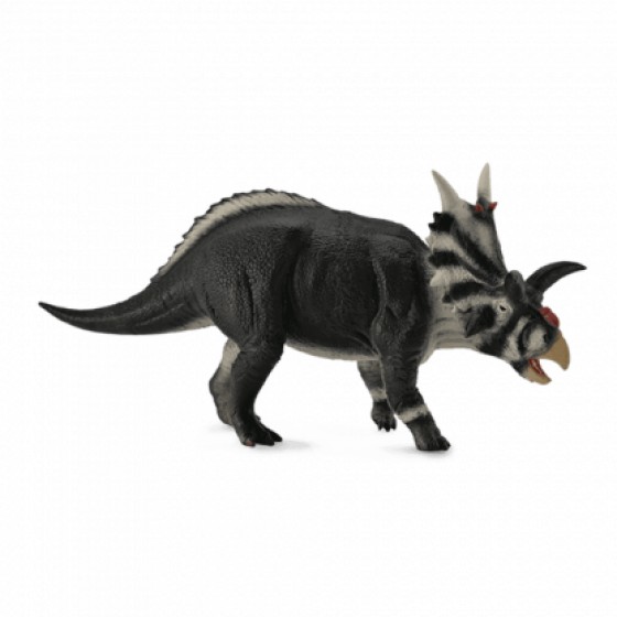 COLLECTA ������������� LARGE - (88660)