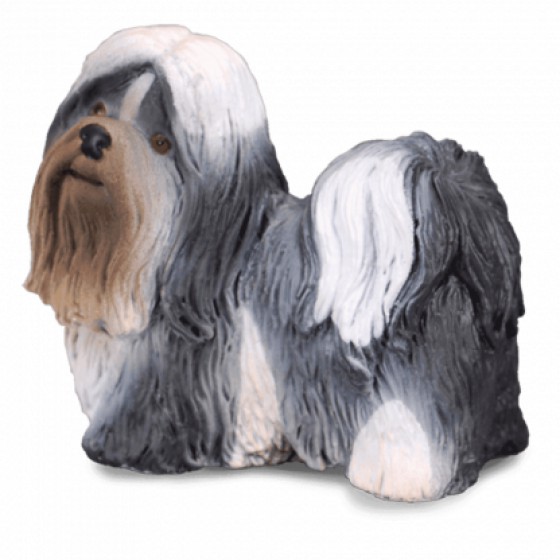COLLECTA ��� ���� MEDIUM - (88195)