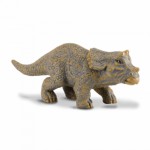 COLLECTA ������������ ���� SMALL - (88199)