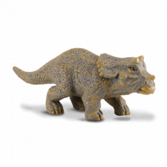 COLLECTA ������������ ���� SMALL - (88199)