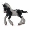 COLLECTA ���������� ������� ���������� MEDIUM - (88770)