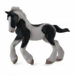 COLLECTA ���������� ������� ���������� MEDIUM - (88770)