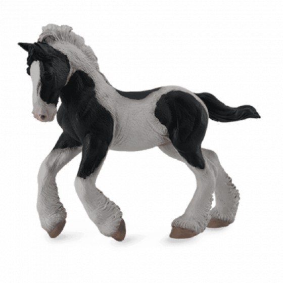 COLLECTA ���������� ������� ���������� MEDIUM - (88770)