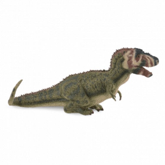 COLLECTA �������������� LARGE - (88628)