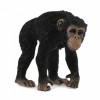 COLLECTA ��������� ������� MEDIUM - (88493)