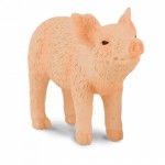 COLLECTA ���������� ��� ������� SMALL - (88344)
