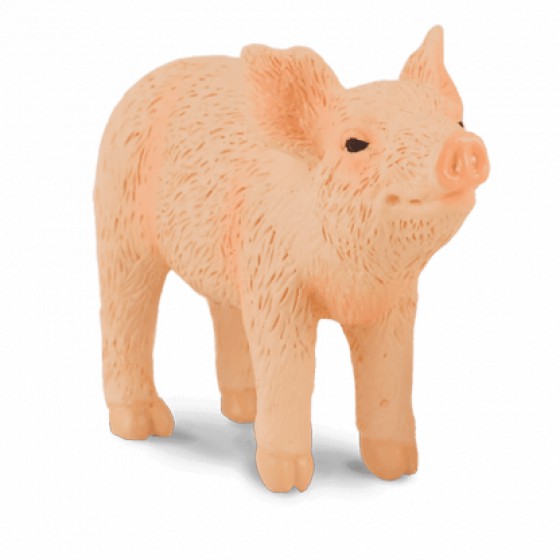 COLLECTA ���������� ��� ������� SMALL - (88344)
