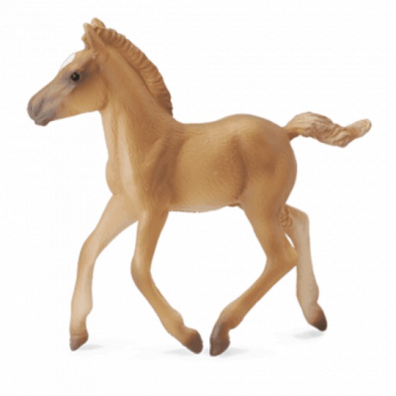 COLLECTA ������� ���������� ��� ��������� MEDIUM - (88517)