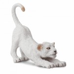 COLLECTA ����� ���������� ��� ���������� SMALL - (88550)