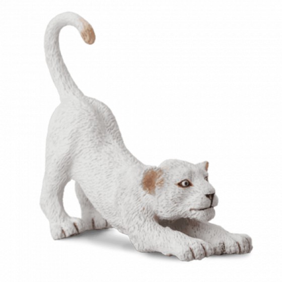 COLLECTA ����� ���������� ��� ���������� SMALL - (88550)