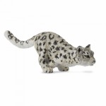 COLLECTA ������������ ��� ������� ��� ������ MEDIUM - (88498)